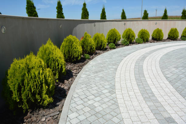 Reasons to Select Us for Your Driveway Paving Requirements in Greenville, IN